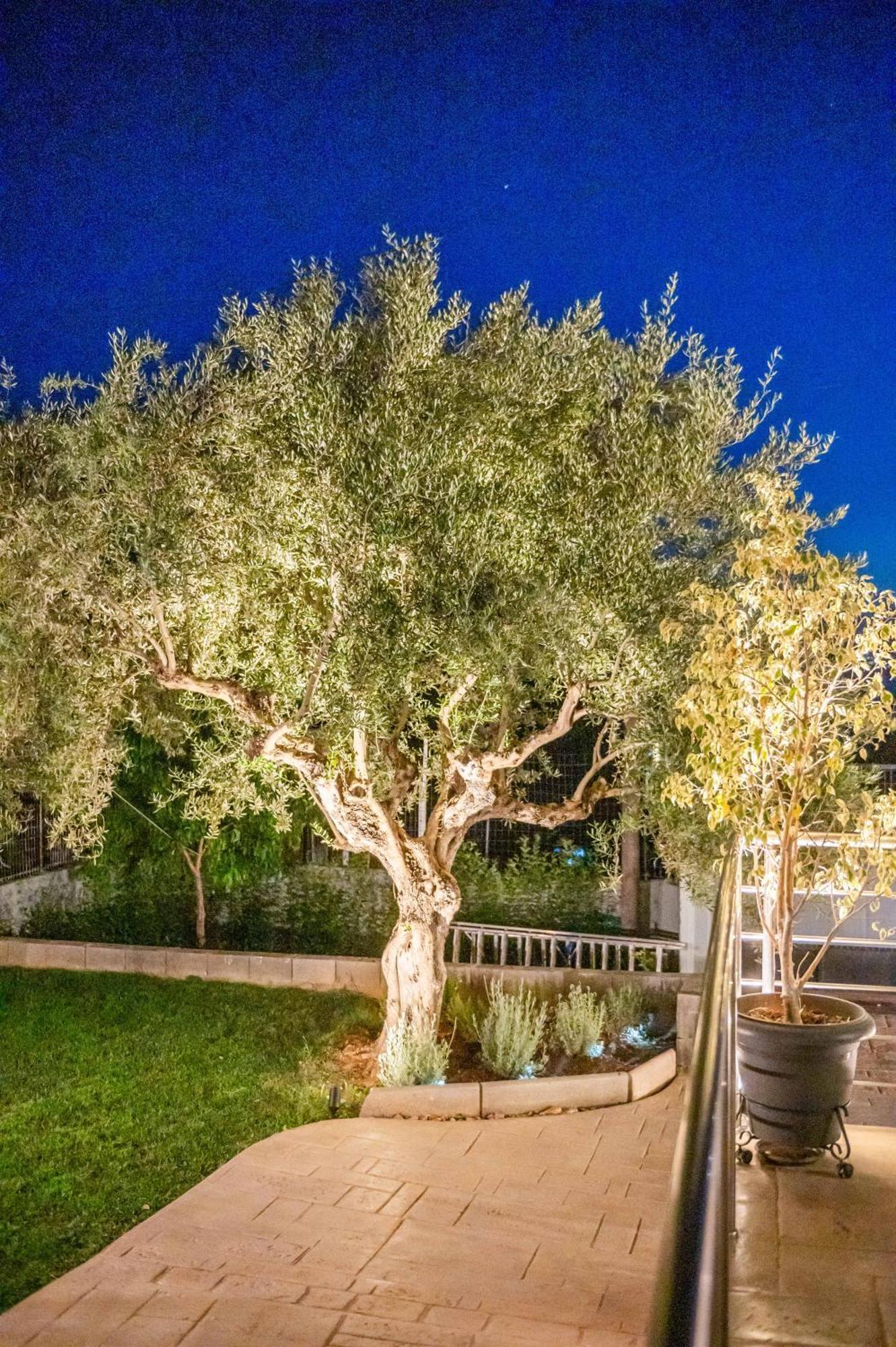 Thea Seaview Luxury Living Villa Kalamáta Kültér fotó